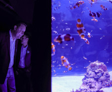 Foz do Iguaçu ganha um dos maiores aquários da América do Sul