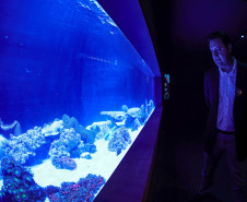 Foz do Iguaçu ganha um dos maiores aquários da América do Sul