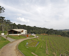 Turismo Rural no Paraná: pesquisa mostra expansão e qualificação no setor