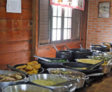 Turismo Rural no Paraná: pesquisa mostra expansão e qualificação no setor