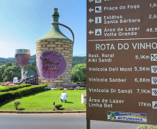 Turismo Rural no Paraná: pesquisa mostra expansão e qualificação no setor