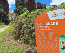 Estado fortalece infraestrutura turística com obras, sinalização e novos equipamentos