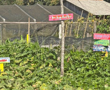 Estado avança na rota Caminhos do Peabiru com consulta e georreferenciamento