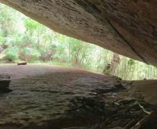  Conselho Paranaense de Turismo debate avanços dos indicadores do setor 