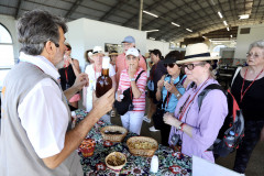 turistas 008