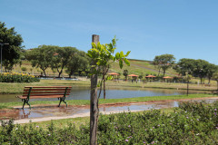 Parque urbano 001