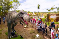 Vale dos Dinossauros 001