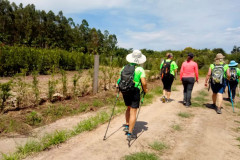 caminhada Natureza