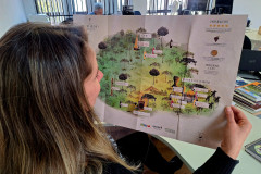 mapa do vinho 004