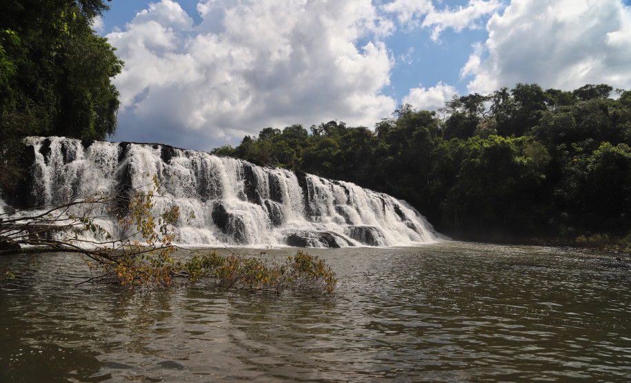capanemariosilvajardim
