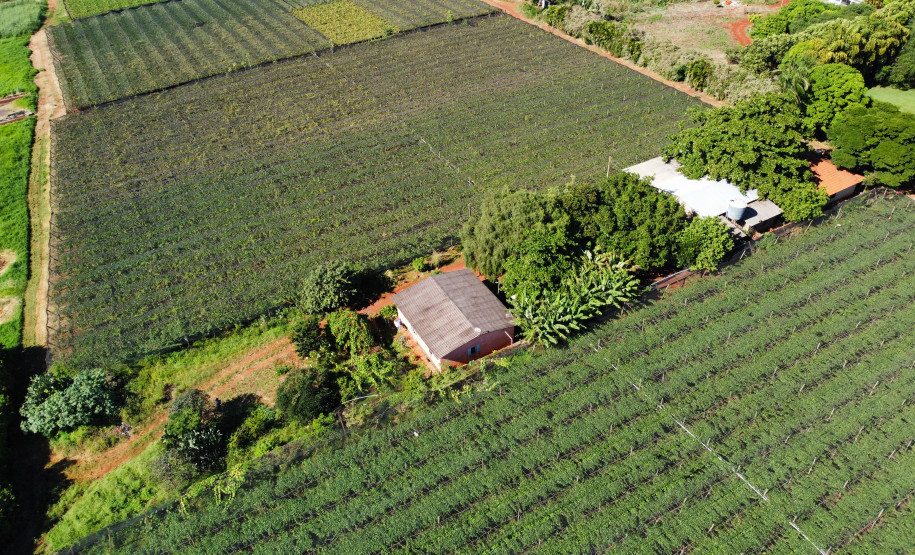 Indentidade Geográfica 004