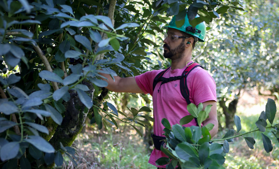 Indentidade Geográfica 005