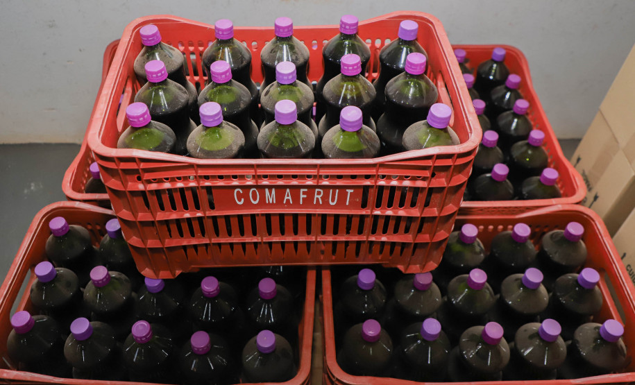 Marialva Uvas Finas 004