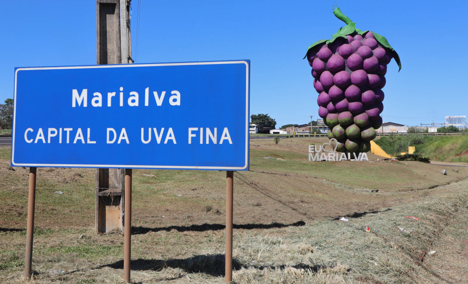 Marialva Uvas Finas 005