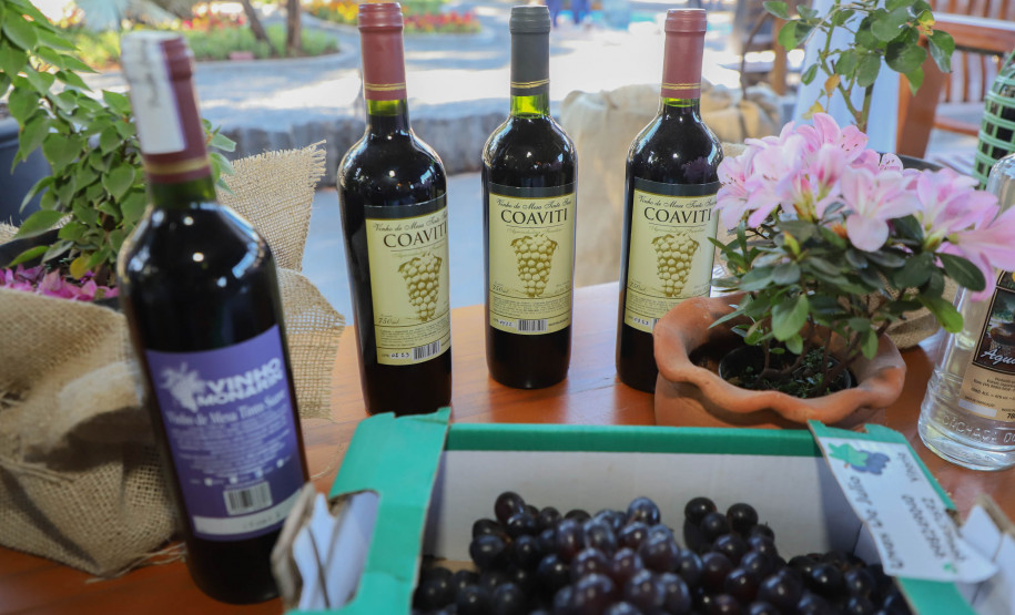 Marialva Uvas Finas 003