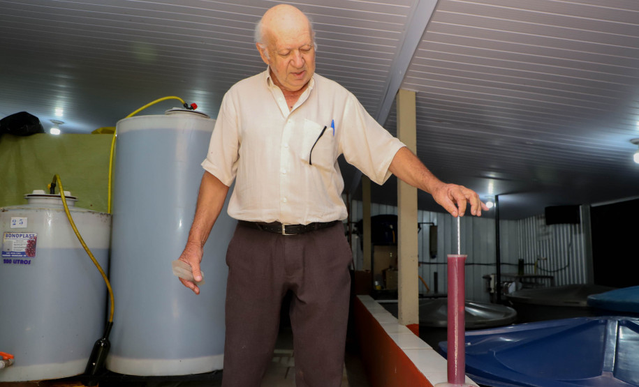 Marialva Uvas Finas 0012