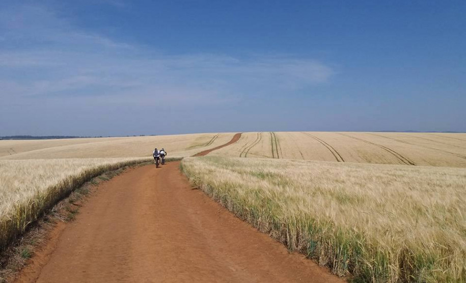 eventos novembro 0011