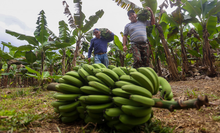 Indentidade Geográfica 0011