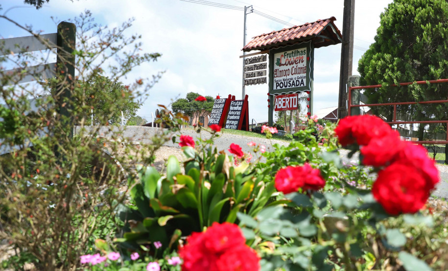 Pesquisa empresas 009