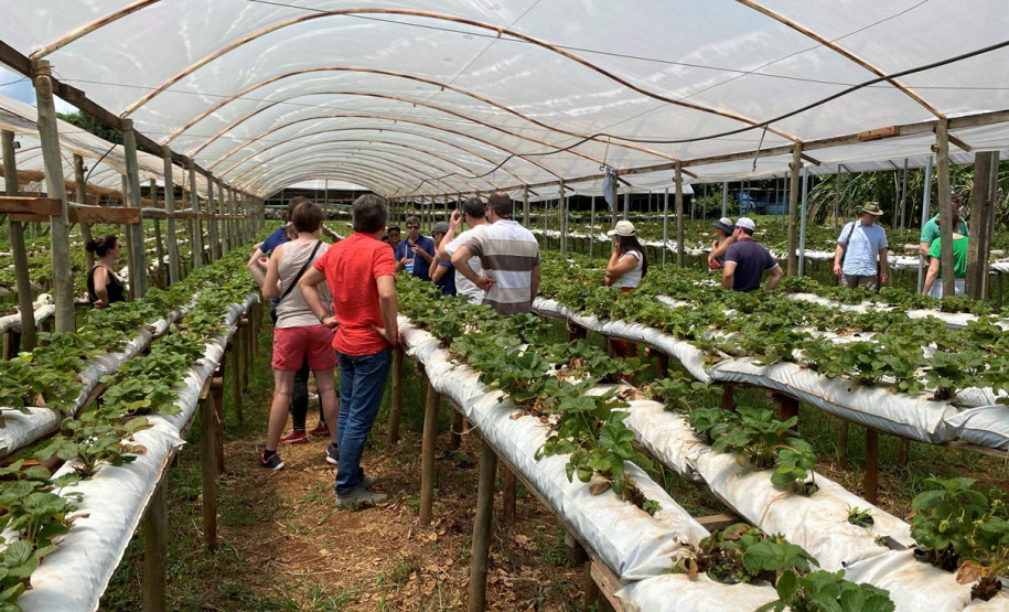 Turismo rural técnico-científico 007