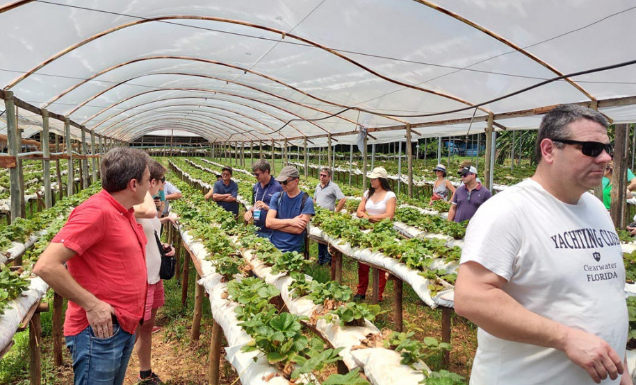 Turismo rural técnico-científico 006