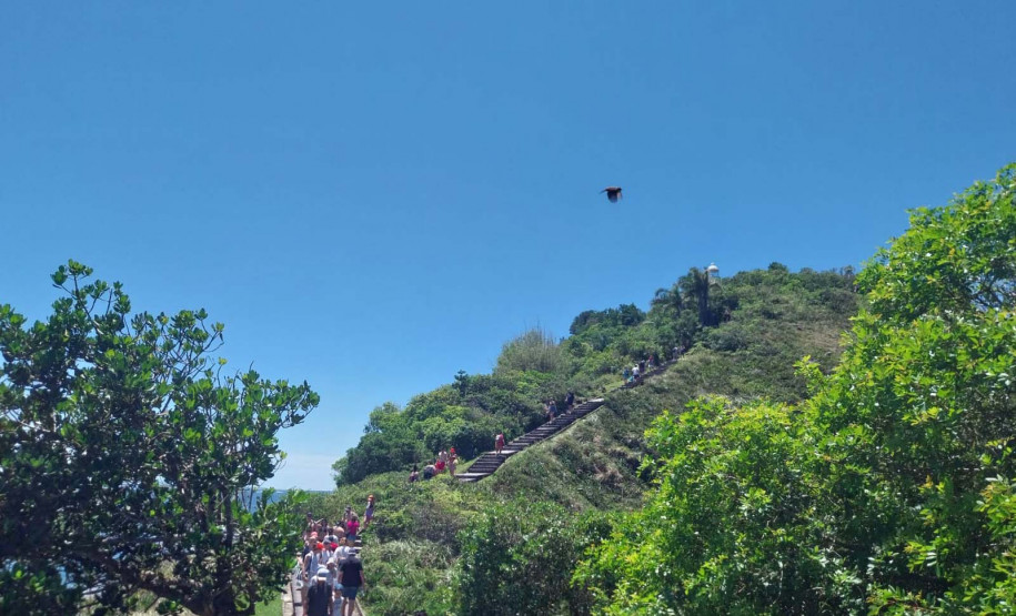 turista na ilha do mel 006