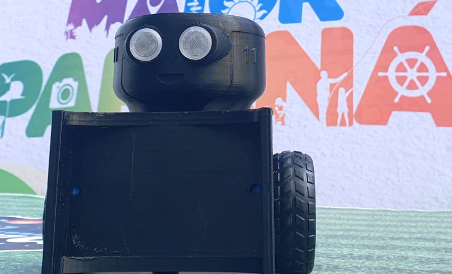 Ciência no verão 0011