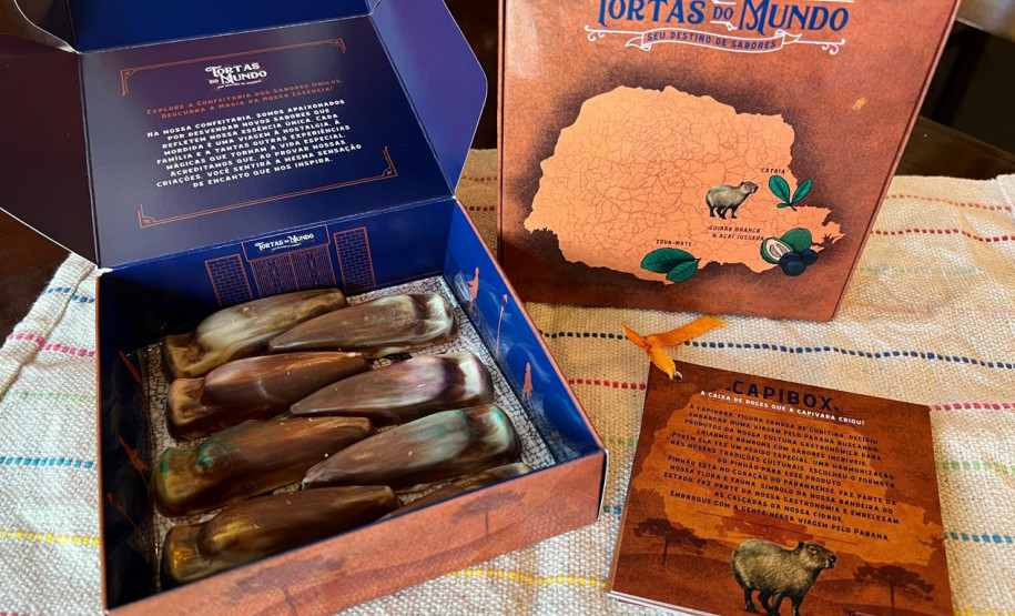 site experiencias paraná 008