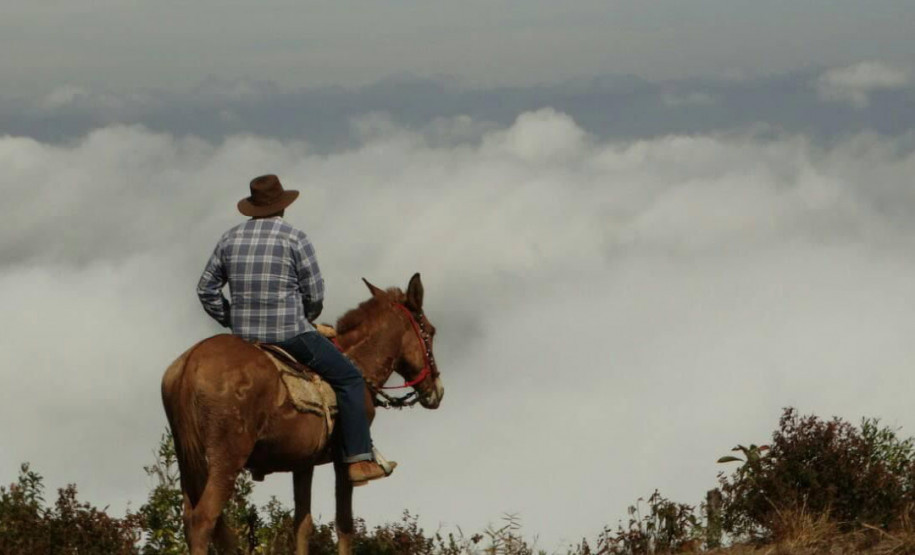 Romaria Tropeira 002