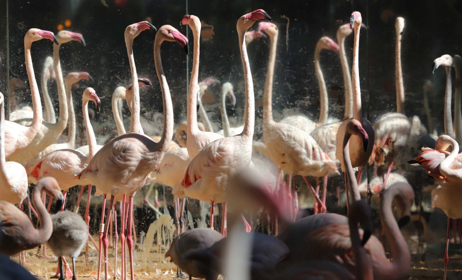 eventos de promoção turística 009