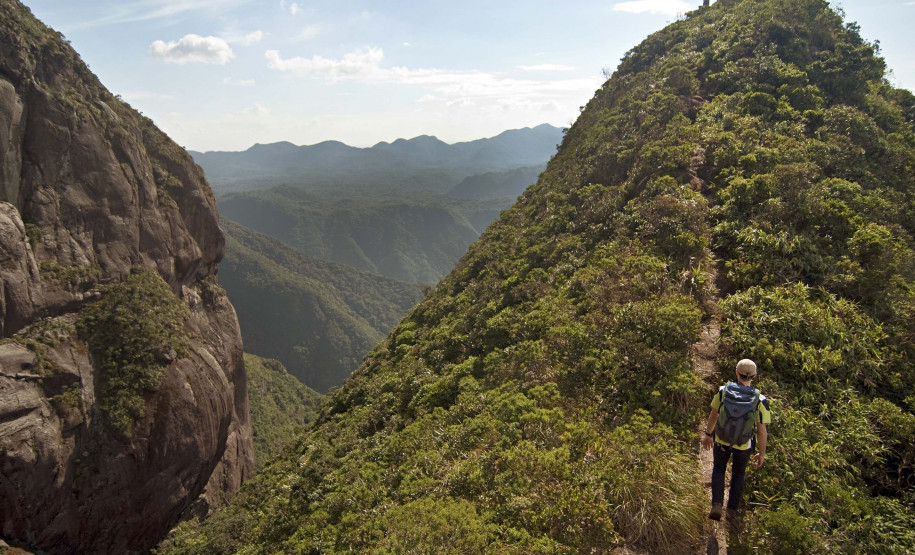 Serviços do Paraná 0010