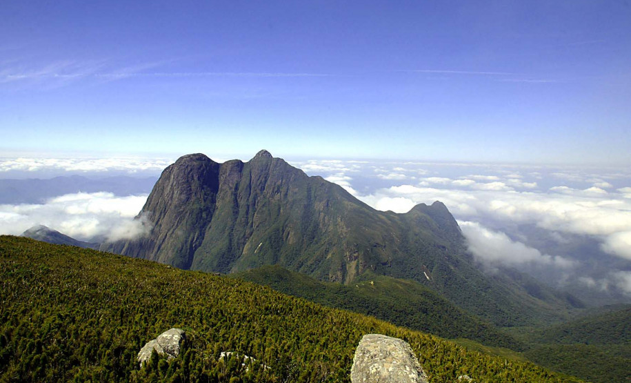 Grande Reserva Mata Atlântica 006