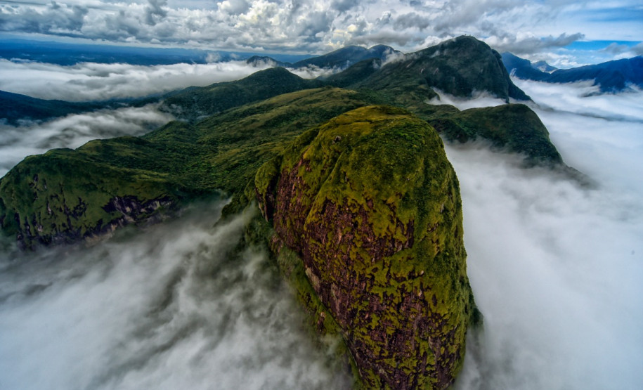 Grande Reserva Mata Atlântica 005