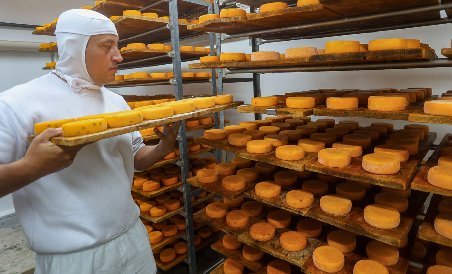 Paraná é destaque nacional 002