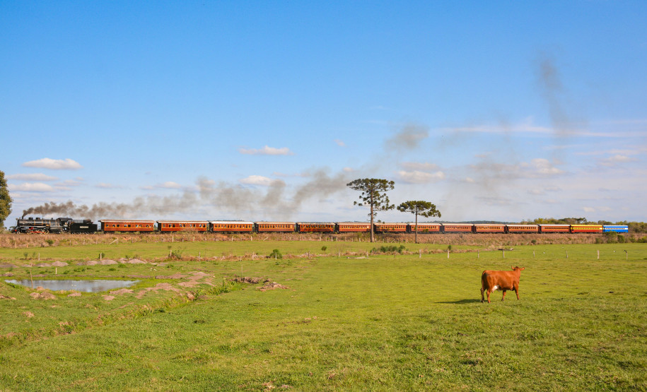 Trem dos Tropeiros 003