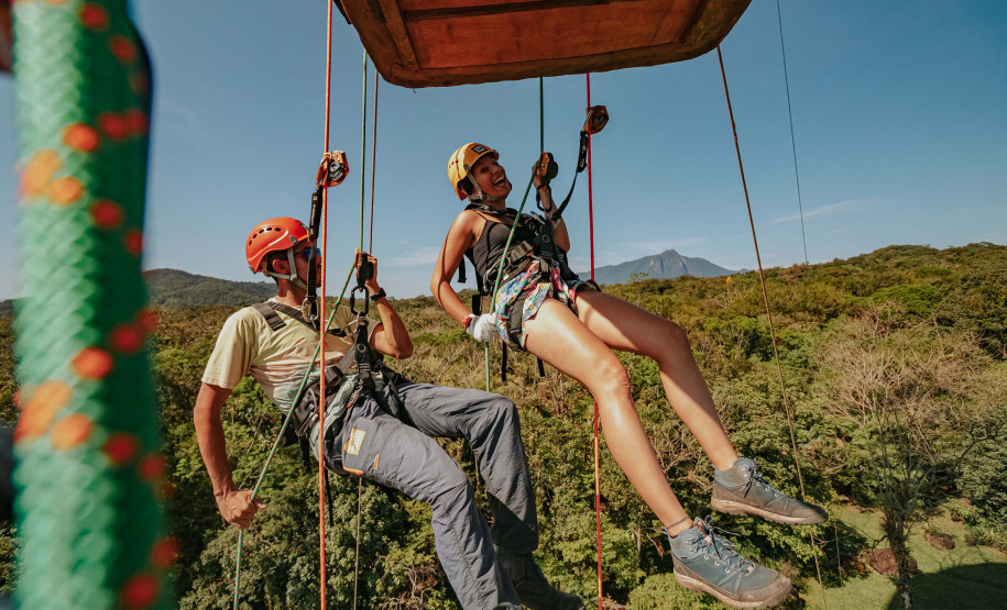 pesquisa  Mata Atlântica 001