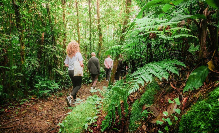 pesquisa  Mata Atlântica 002