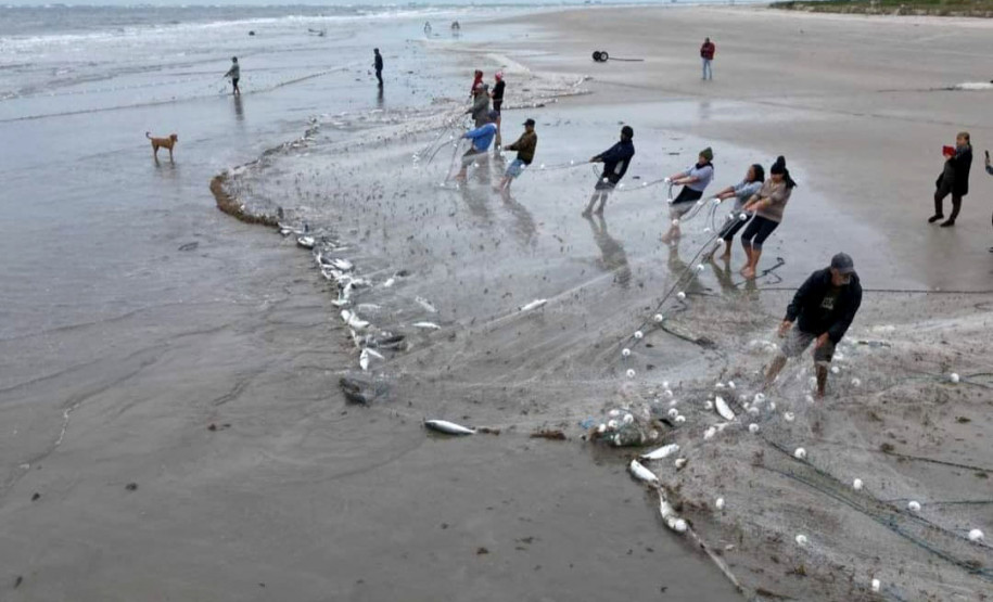 Temporada da tainha 007