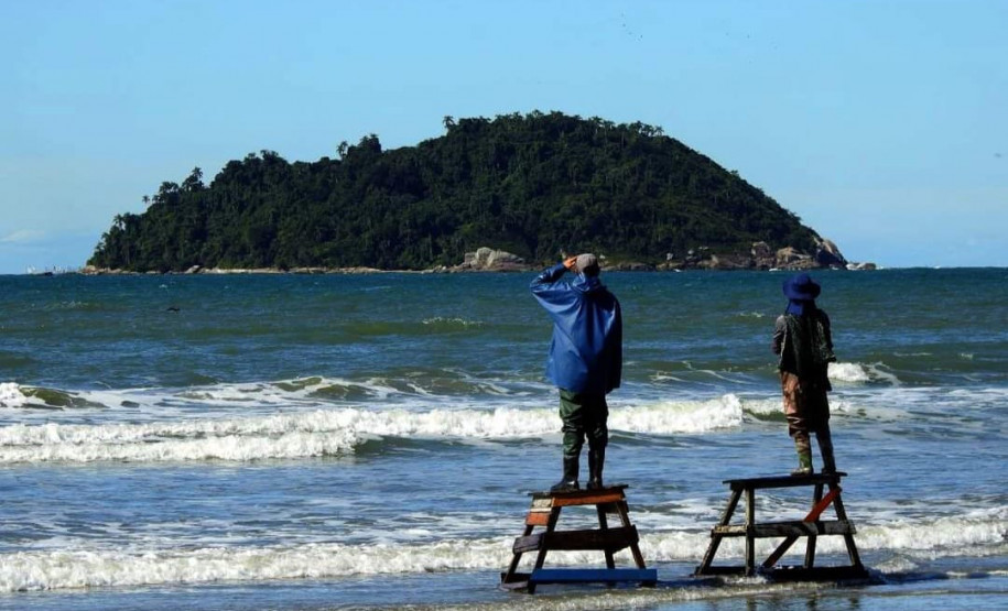 Temporada da tainha 008