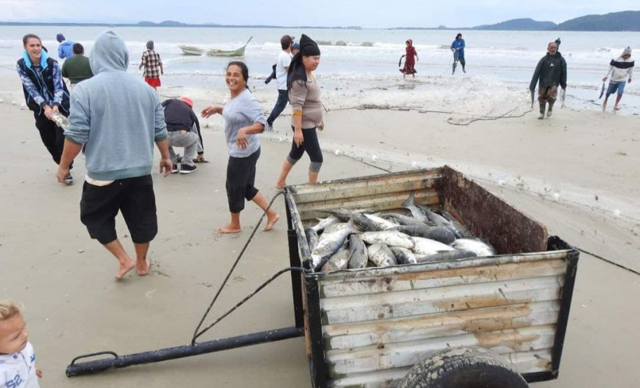 Temporada da tainha 003