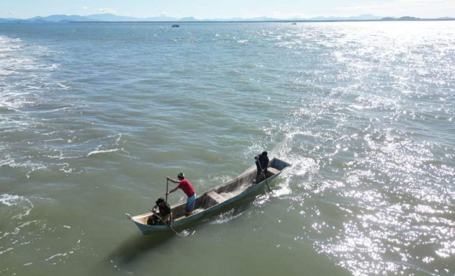 Temporada da tainha 004