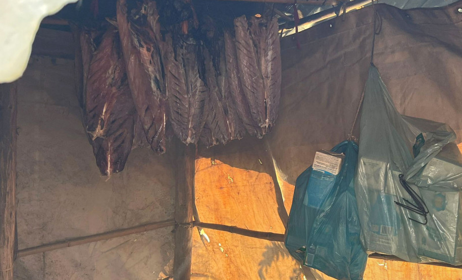 Temporada da tainha 0020