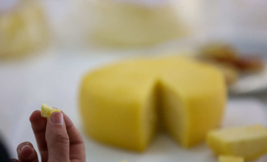 Prêmio Queijos do Paraná 008