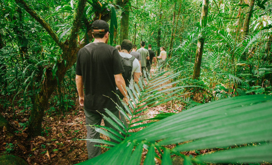 Grande Reserva da Mata Atlântica 003