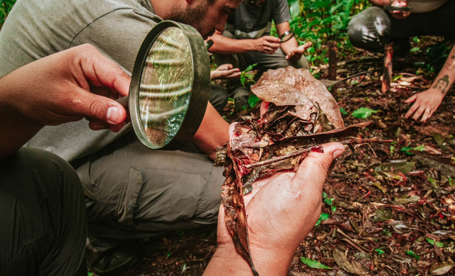 Grande Reserva da Mata Atlântica 006
