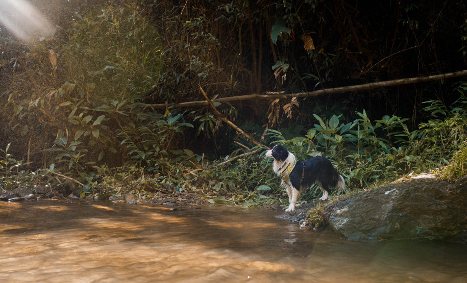 Feirão Nacional do Turismo 001