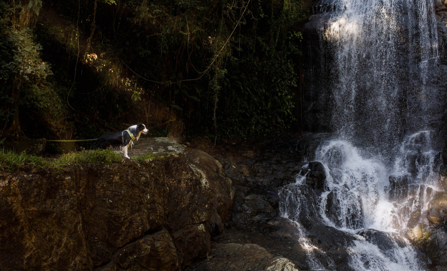 Feirão Nacional do Turismo 002