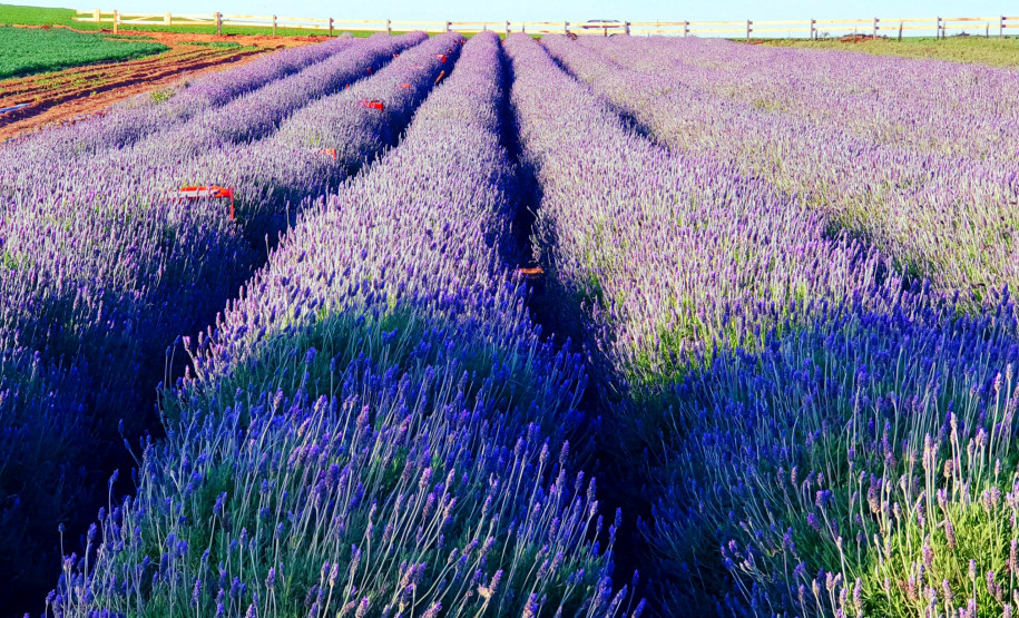 Salão do turismo 006