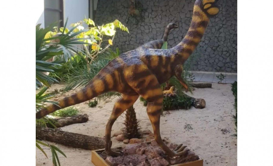 Vale dos Dinossauros 005