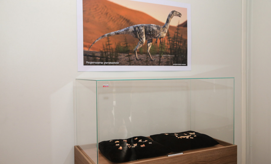 Vale dos Dinossauros 0011